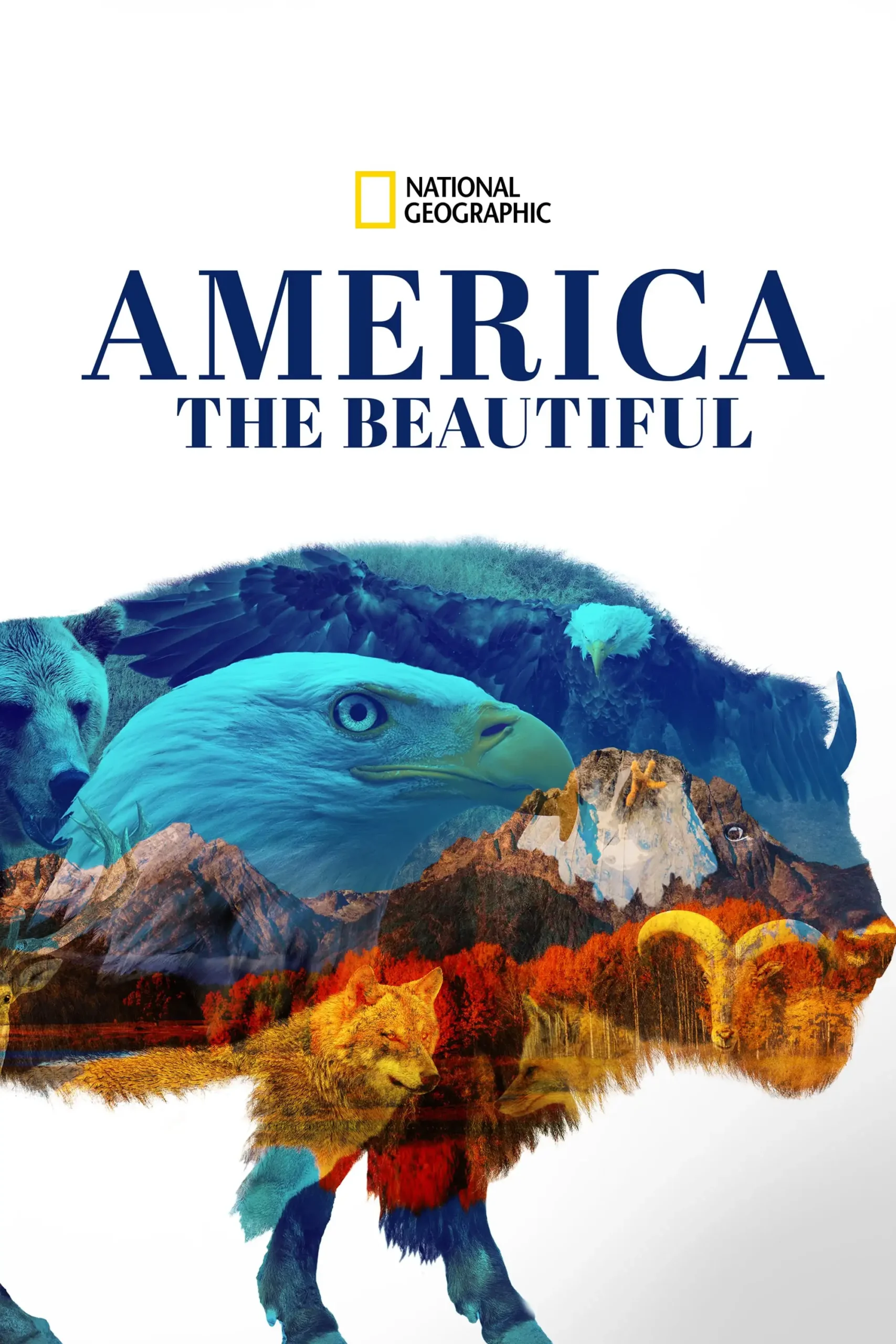 America the Beautiful